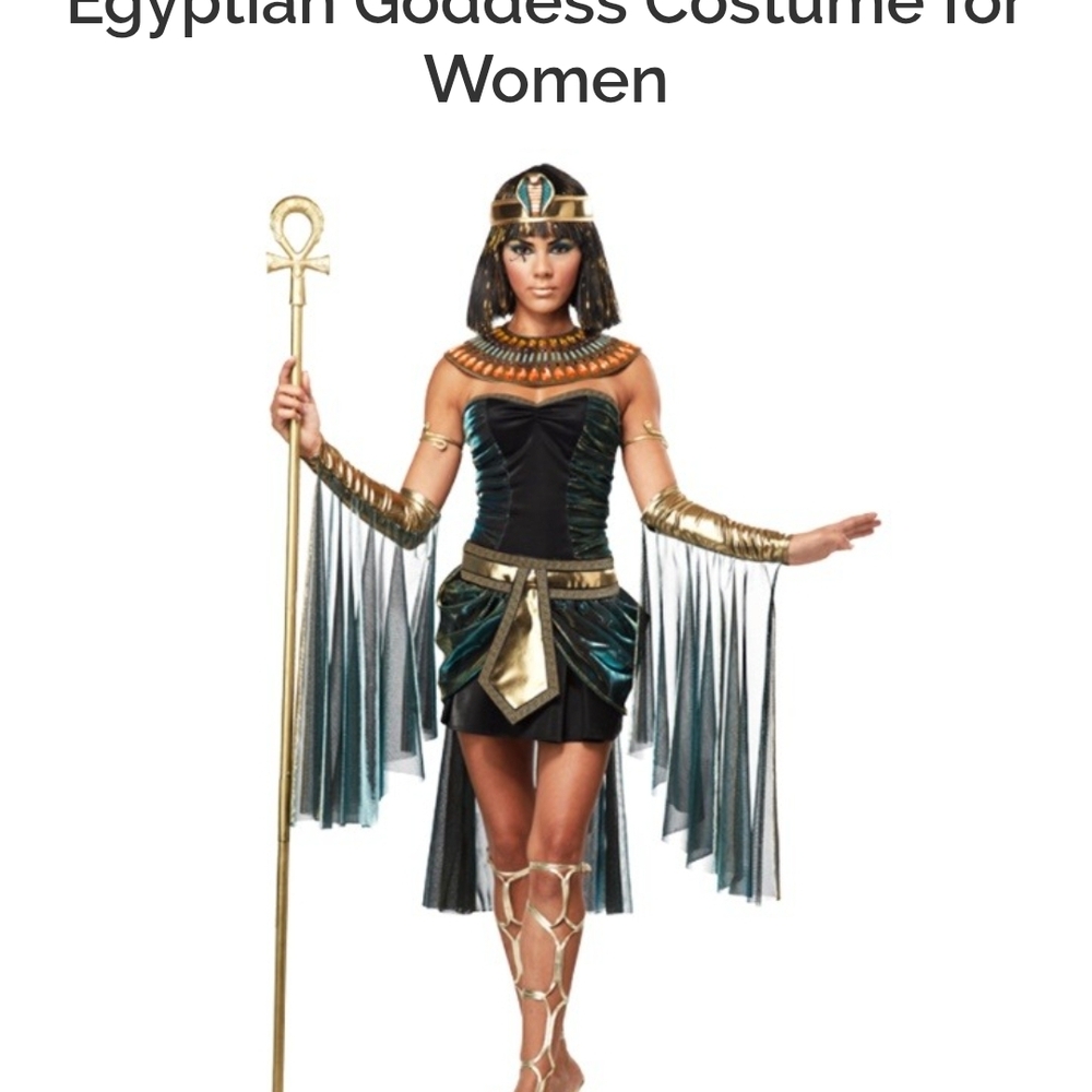 California Costumes Adult Costume